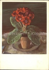 Kuenstlerkarte P. Perrelet Gloxinien 