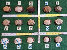 Hirschrose Hirschgeweih Geweih