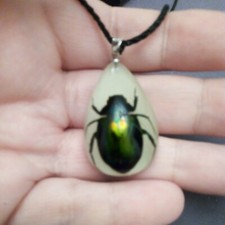 Grün schillernder Skarabäus