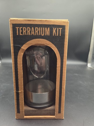 Glass terrarium garden - terrarium, kit