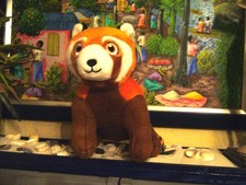 penny treuepunkte - Pandrea