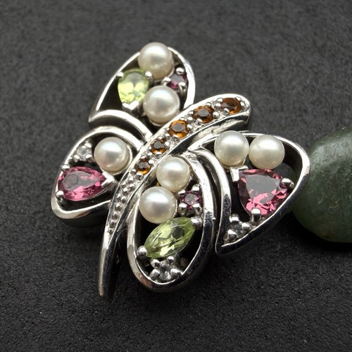 Moderne schmetterling brosche - schmetterling,