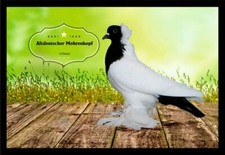 Fußmatte Schmutzfangmatte