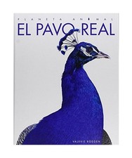 El Pavo Real, Valerie Bodden