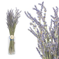 Lavendel Bündel 50cm - Lila