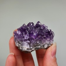Amethyst Drusen aus Uruguay