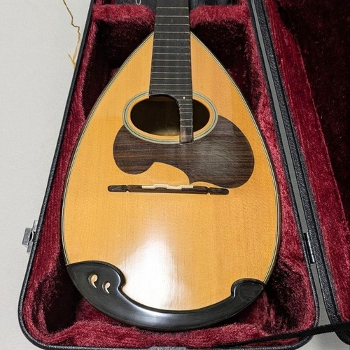 Suzuki mandoline müll - m-30,