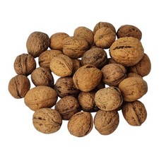 Walnüsse in Schale 10 kg 2025 aus Polen – gewaschen, getrocknet, kalibriert