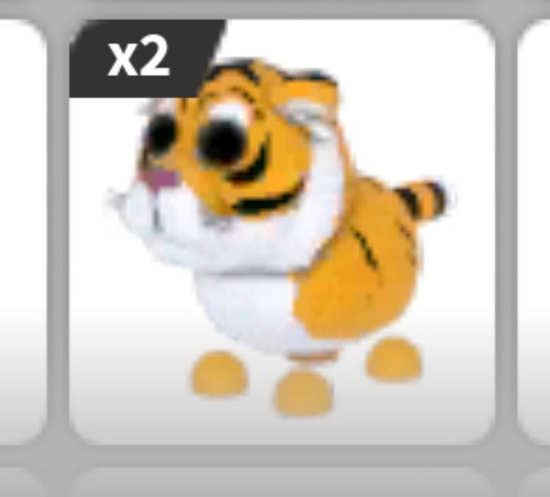 Normal tiger adopt - normal,