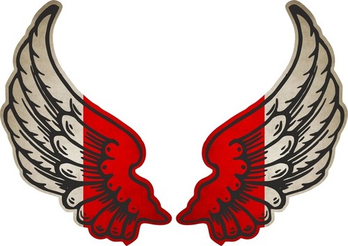 Sticker aufkleber flugel