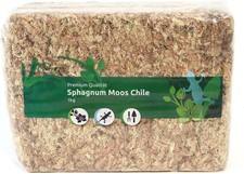 Sphagnum Moos für Terrarium und Orchideen aus Chile 1 x 1000 g für Orchideen &