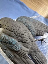 vogelschreck vogelabwehr Rabe