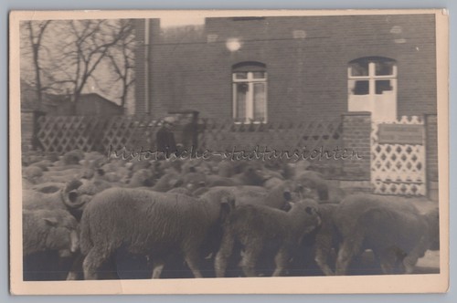 Radensleben neuruppin 1962 - 1962,