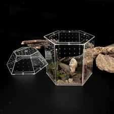 Reptilien-Terrarium, Acryl