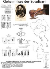 Stradivari - Geige n Das