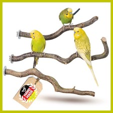 Sitzstangen für Vögel 3 x