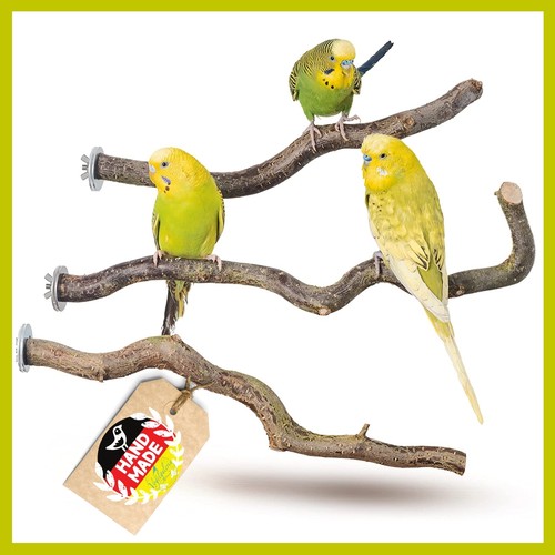 Sitzstangen für vögel x - für,