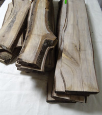 Walnussbaum Bohle Nussbaum