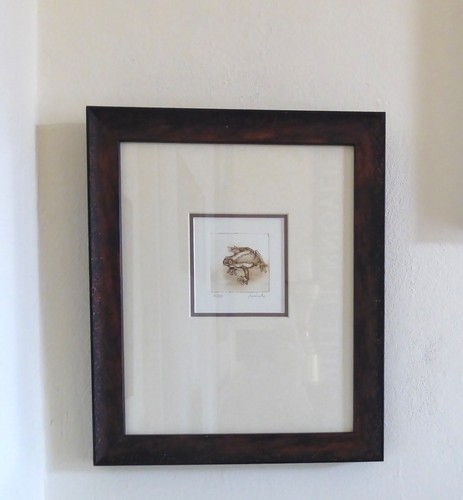 Original kupferstich frosch - original,