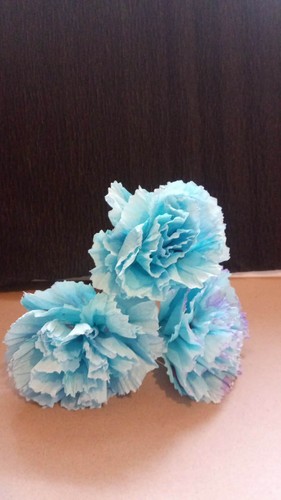 Krepp papier blumen - 20,