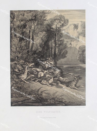 Johann elias ridinger jagd - johann,