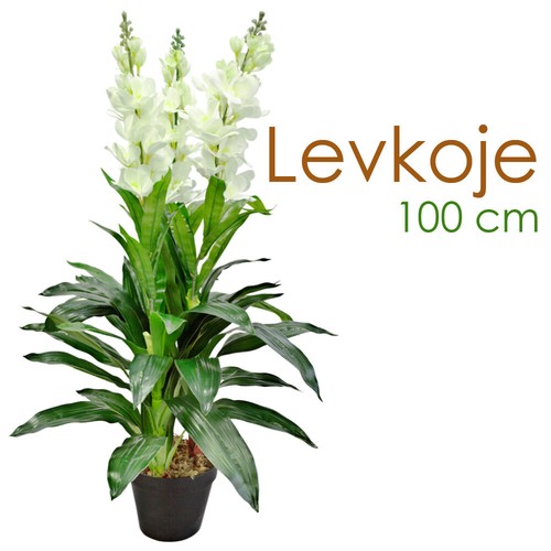 Levkoje matthiola kunstpflanze - levkoje,