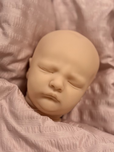 Reborn realborn owen asleep - reborn,