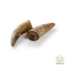 Rinder-Horn 1kg - Kauartikel -