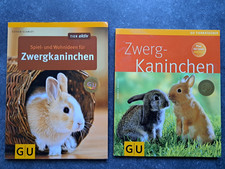 Zwergkaninchen artgerechte - 2x,