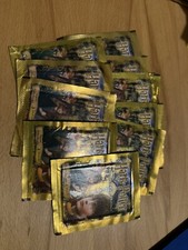 Panini Harry Potter und der