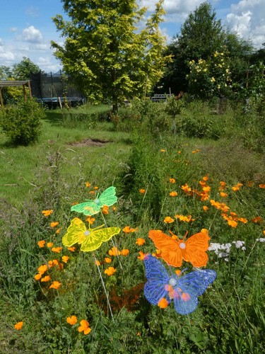 Acrylglas gartendekoration - acrylglas,