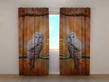 Fotogardine Eule im Frühling