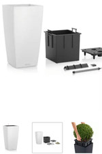 Lechuza Cubico Color 40