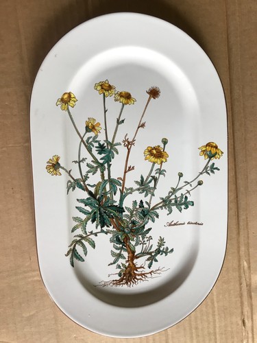 Ovale vorlegeplatte botanica - ovale,