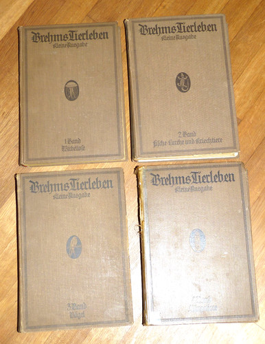 Brehms tierleben kleine - tierleben,