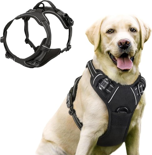 Hundegeschirr für kleine - für,
