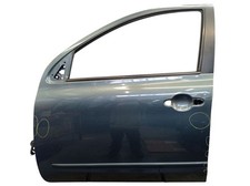 Tür Türe vorne links Greyish