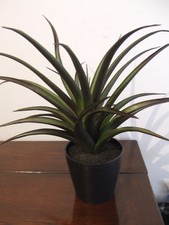 Künstliche Pflanze Real Touch