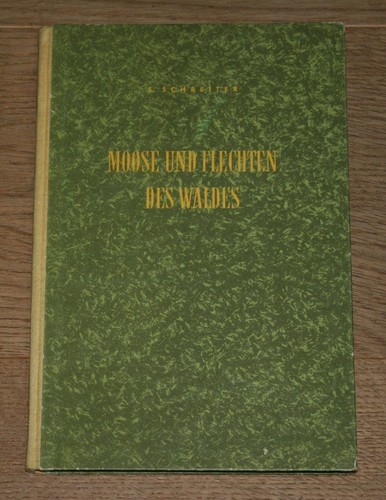 Moose und flechten - und, waldes