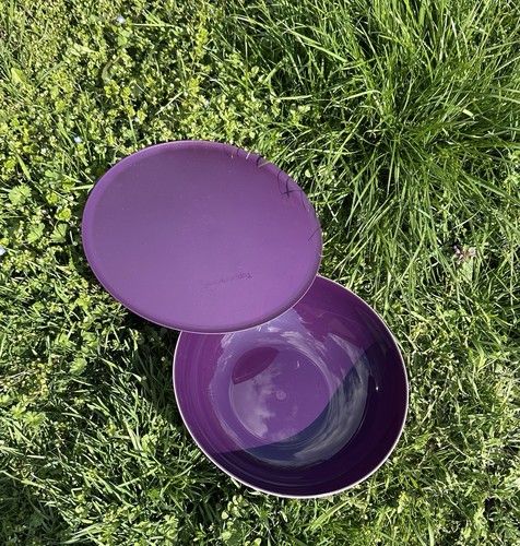 Tupperware ltr allegra - tupperware,
