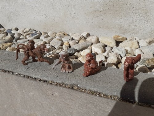 Ddr zootiere - zootiere,
