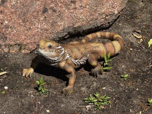 Gartenfigur bartagame garten - gartenfigur,