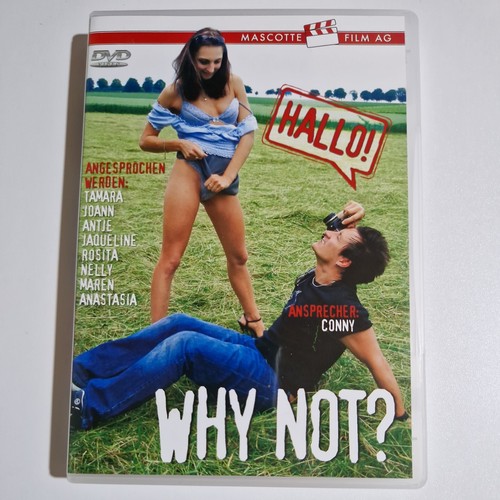 Dvd hallo why not - dvd,