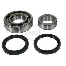 Radlager-Satz hinten für