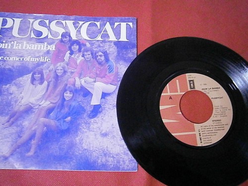 Pussycat doin bamba on - -,