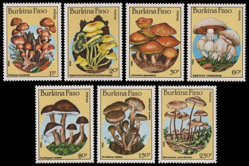 Burkina faso 1985 mi - -, mi-nr