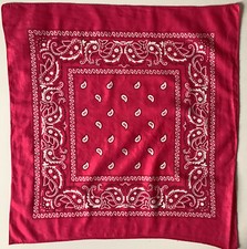 61 A rosa Paisley Design 21