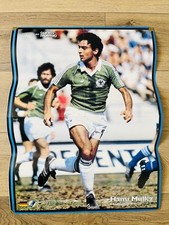 Hansi Muller Poster Beilage