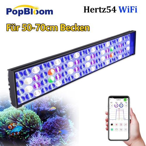 Popbloom h54 aquarium - h54,