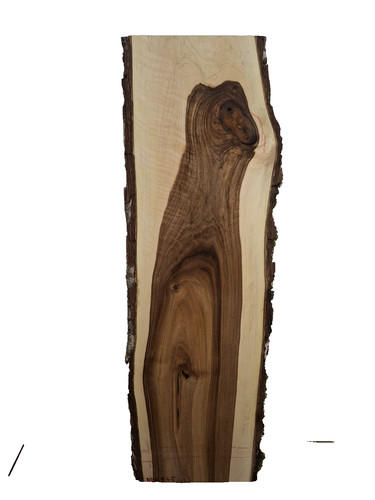 Nussbaum bohle brett - nussbaum,